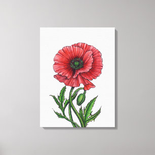 Lienzo Amapola roja, acuarela y tinta