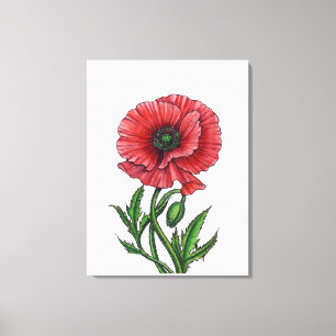 Lienzo Amapola roja, acuarela y tinta