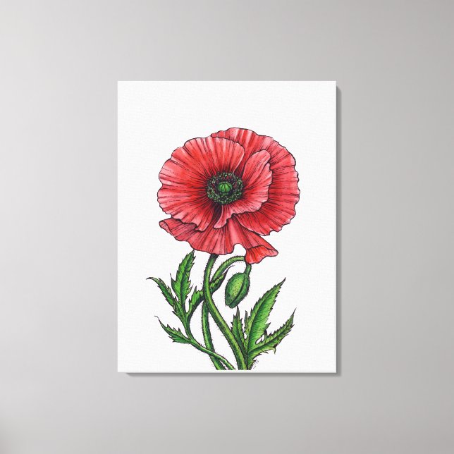 Lienzo Amapola roja, acuarela y tinta (Anverso)