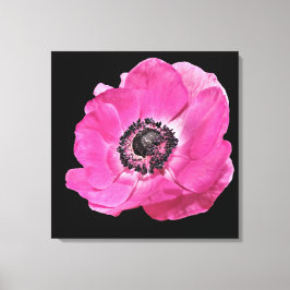 Lienzo Amapola Rosa Brillante Vibrante Floral Moderna Neg