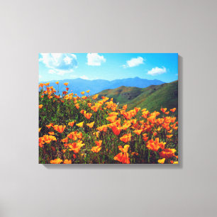 Lienzo Amapolas de California cubriendo una ladera