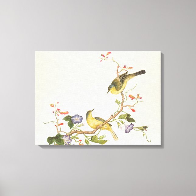 Lienzo Amarillo Wagtail con la cabeza azul (Anverso)