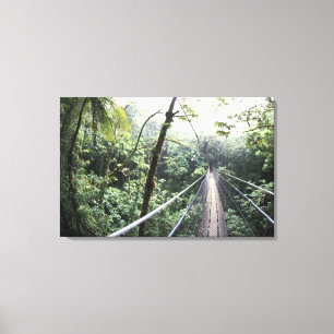 Lienzo América Central, Costa Rica, Nube Monteverde