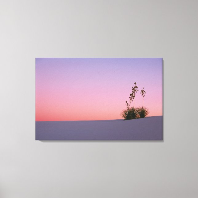 Lienzo América del Norte, América, Nuevo México, Blanco (Anverso)