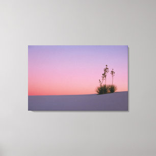 Lienzo América del Norte, América, Nuevo México, Blanco