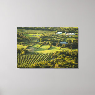 Lienzo América del Norte, Canadá, Nueva Escocia, Anápo