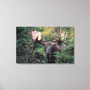 Lienzo América del Norte, Canadá, Nueva Escocia, Cabo Bre