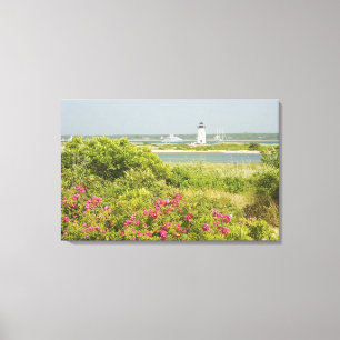 Lienzo América del Norte, EE.UU., Massachusetts, Martha'