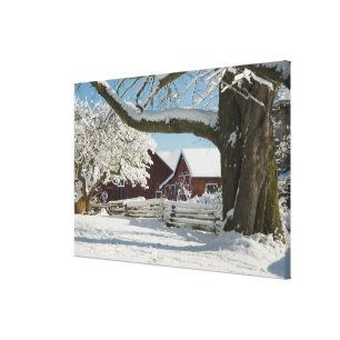 Lienzo América del Norte, EE.UU., WA, Isla Whidbey. 2