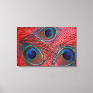 Lienzo América del Norte, EE.UU., WA, Redmond, Peacock