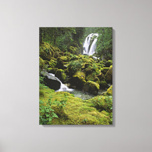 Lienzo América del Norte, Estados Unidos, Alaska. Una ca