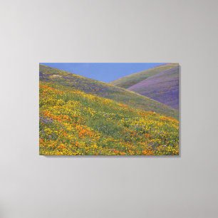 Lienzo América del Norte, Estados Unidos, California, Lo