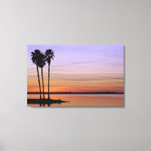 Lienzo América del Norte, Estados Unidos, Florida, el mo