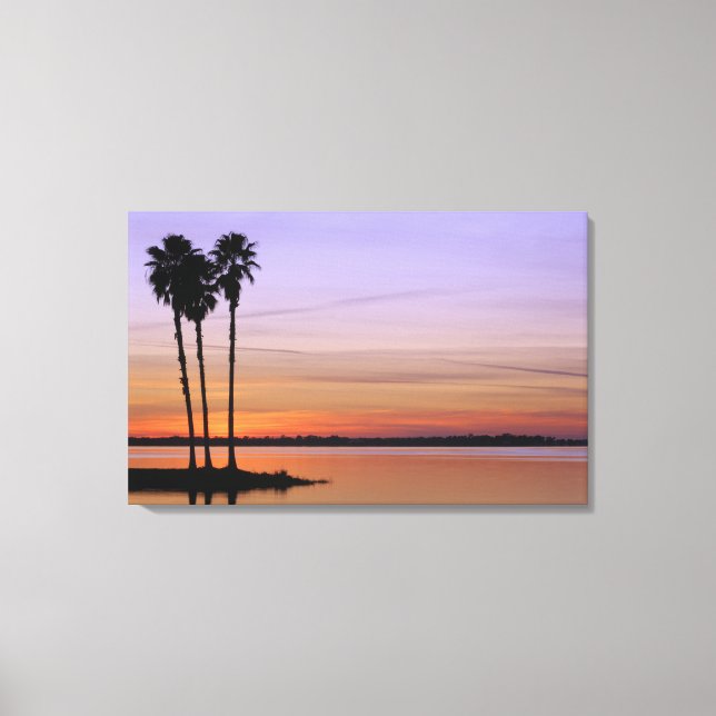 Lienzo América del Norte, Estados Unidos, Florida, Monte  (Anverso)