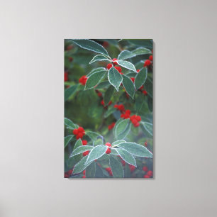 Lienzo América del Norte, Estados Unidos, Nueva Inglaterr