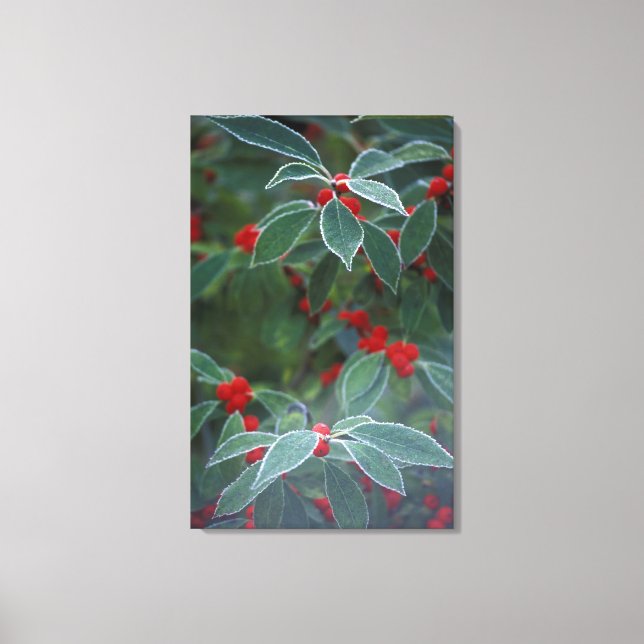 Lienzo América del Norte, Estados Unidos, Nueva Inglaterr (Anverso)