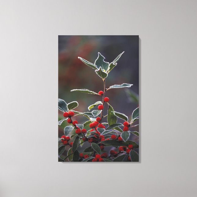 Lienzo América del Norte, Estados Unidos, Nueva Inglaterr (Anverso)