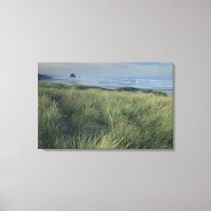 Lienzo América del Norte, Estados Unidos, Oregón, Playa C