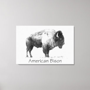 Lienzo American Bison