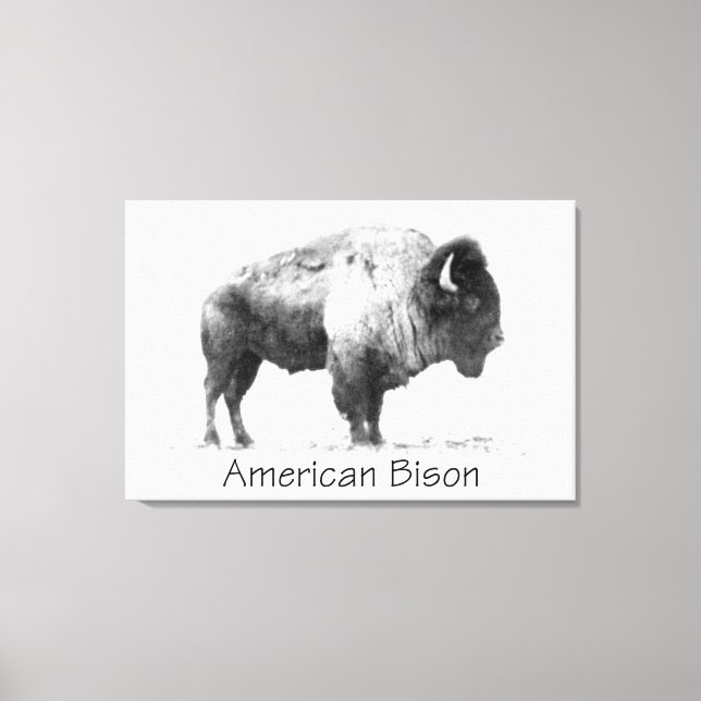 Lienzo American Bison (Anverso)