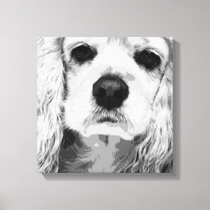 Lienzo Americano cocker spaniel
