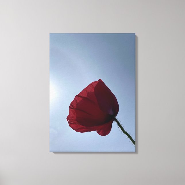 Lienzo Amigo rojo de Cornualles con cielo gris (Anverso)