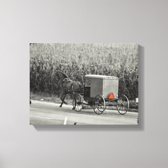 Lienzo Amish Buggy Monocrome (Anverso)