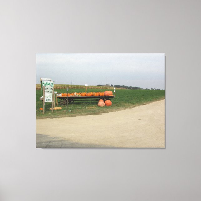 Lienzo Amish Pumpkin Patch Farm Photoarm Art (Anverso)