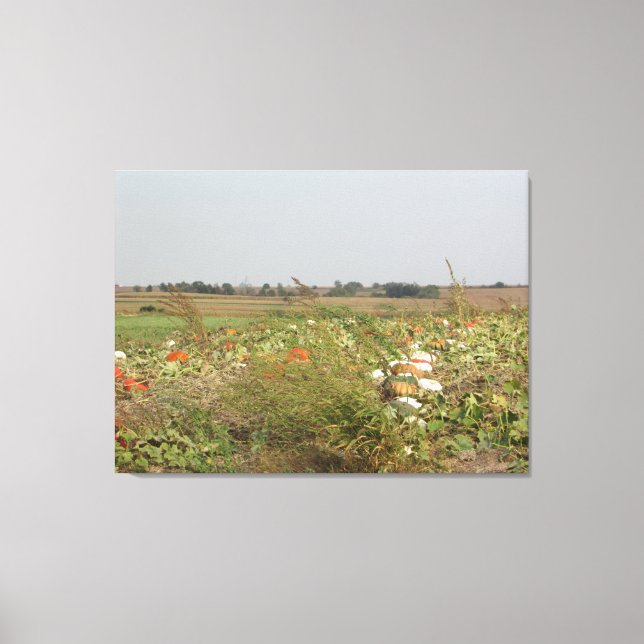 Lienzo Amish Pumpkin Patch Farm Photoarm Art (Anverso)