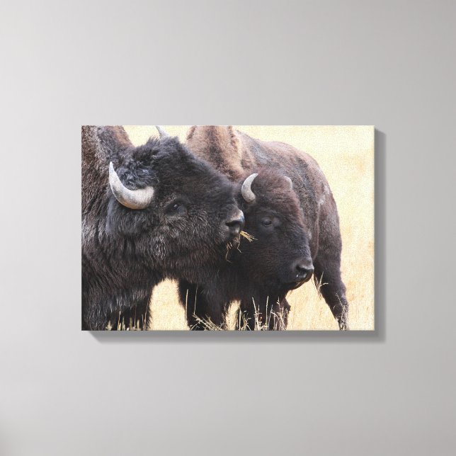 Lienzo amistad bisonda (Anverso)