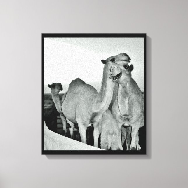 Lienzo Amor de camello (Anverso)