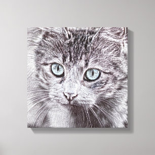 Lienzo Amor de Gatito Gato Atractivo con Ojos Azules Lumi