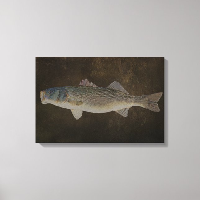 LIENZO AMPLIA BASURA DE BOCA LLAMADA CANVAS (Anverso)