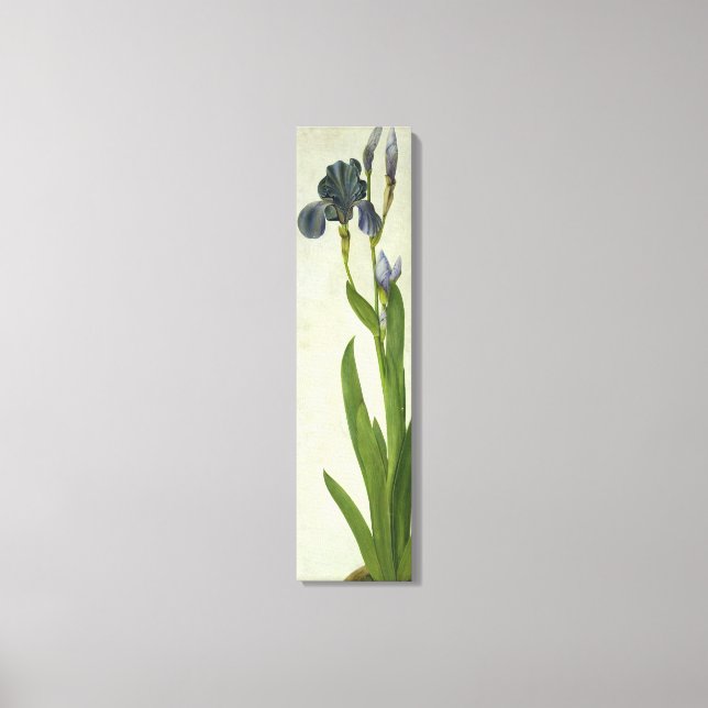 Lienzo An Iris (Anverso)