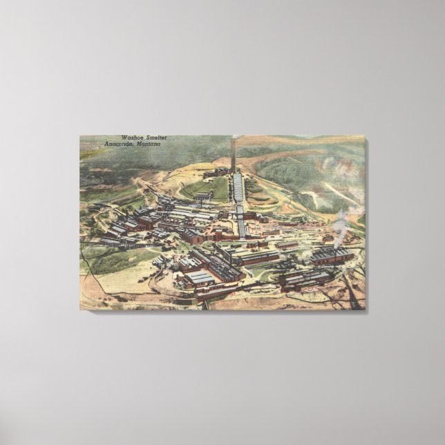 Lienzo Anaconda, Montana - Vista de fundición de Washoe d (Anverso)