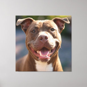 Lienzo Añadir Personalizar fotográfico de pitaciones