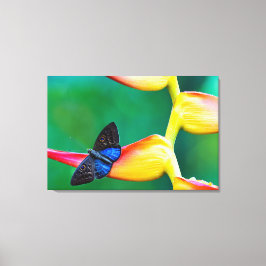 Lienzo Añadir sus propios regalos de Personalizados de pl