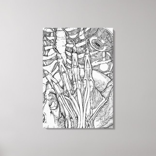 Lienzo Anatomía (Anverso)