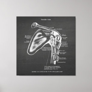 Lienzo Anatomía Art No.1 Conjunta de hombros