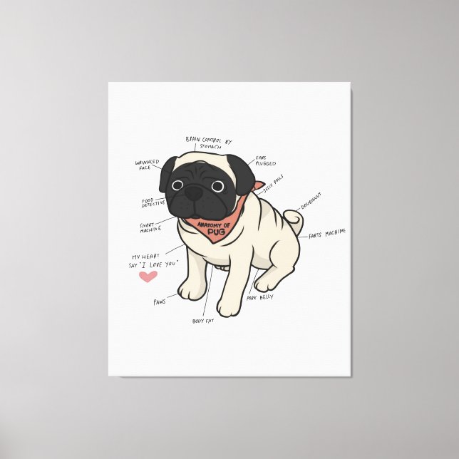Lienzo Anatomía De La Gráfica De Perros De Pug (Anverso)