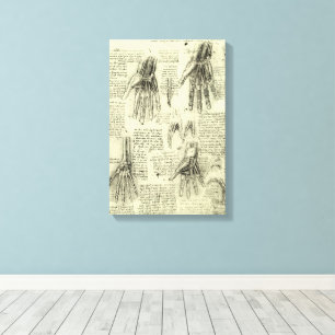Lienzo Anatomía de la mano humana por Leonardo da Vinci
