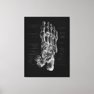 Lienzo Anatomía de pies, Poster médico podiatrista