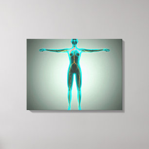 Lienzo Anatomía del cuerpo femenino con las arterias y