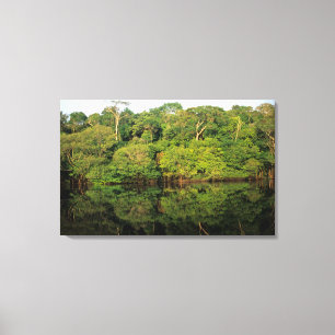 Lienzo Anavilhanas, Amazonas, Brasil. Río de selva tropic