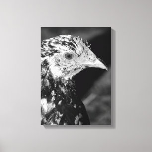 Lienzo Ancona Hen