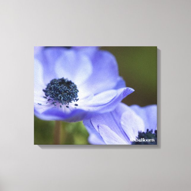 Lienzo Anemone azul (Anverso)