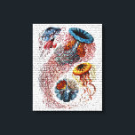 Lienzo Anemone marino<br><div class="desc">Costero y tropical</div>