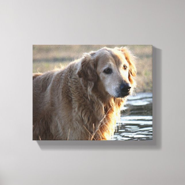 Lienzo Ángel de oro (Golden Retriever) (Anverso)