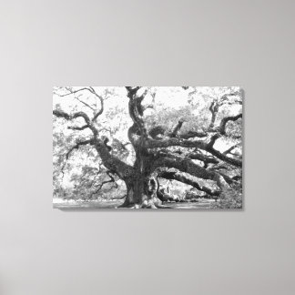 Lienzo Angel Oak on canvas