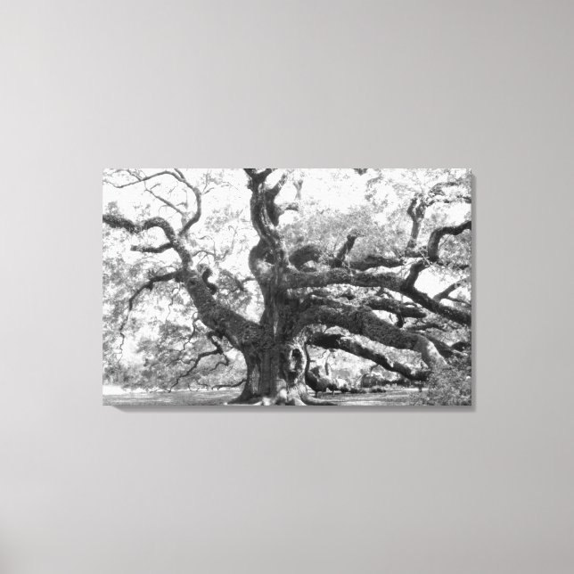 Lienzo Angel Oak on canvas (Anverso)
